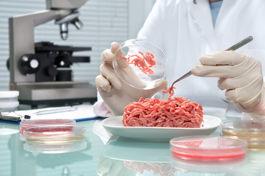 lab-meat.jpg