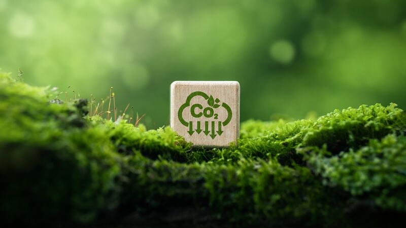 Sustainability Snippets