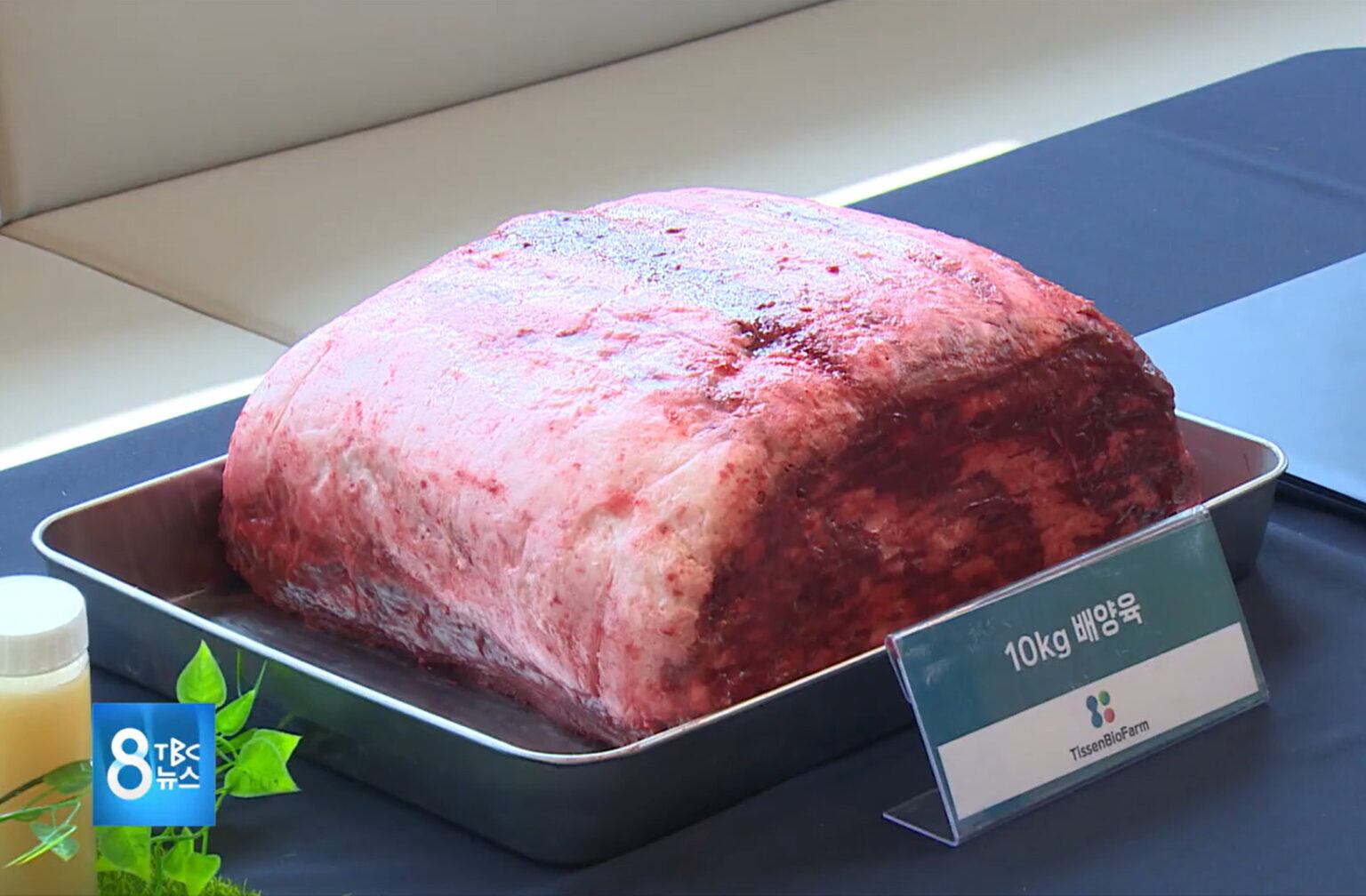 10kg-cultivated-meat-1536x1008.jpg