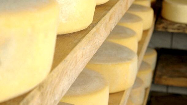 Cheeese.jpg