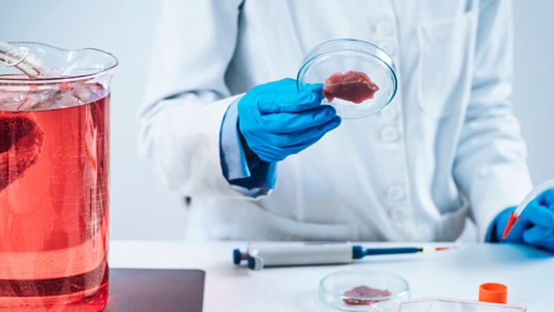 Filling the protein gap: China cultivated meat firm CellX lays out cost reduction and commercialisation plans