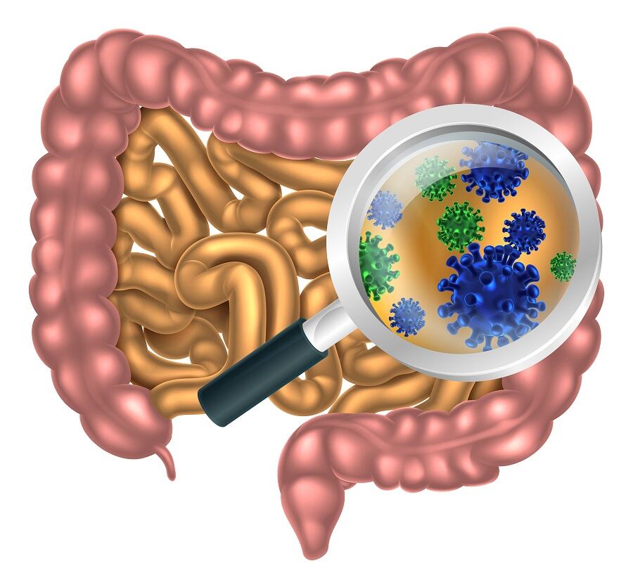 gut-microbiota-probiotics-prebiotics-digestive-iStock-ChrisGorgio.jpg