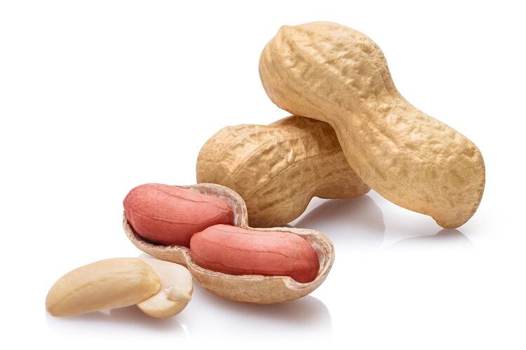 peanut-Marat-Musabirov.jpg