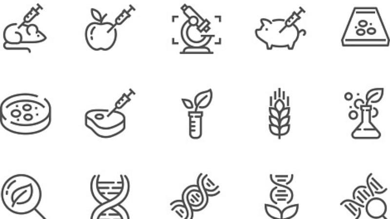 Broadening GM foods range: Australia, New Zealand forge ahead despite COVID-19 delays to food code amendments