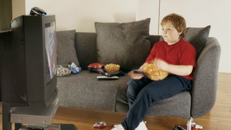 ‘Junk food’ marketing: NZ industry and health groups divided over ‘physical and mental harm’ claims  