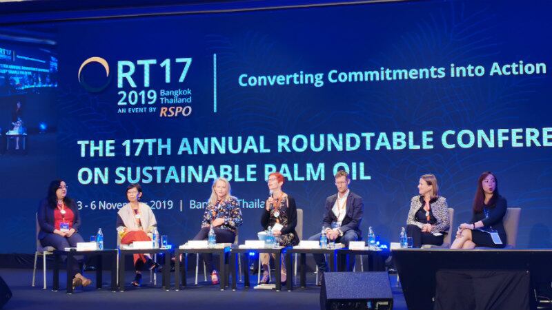 Credibility, collaboration and action: Expert panel on why RSPO pilot is a vital sustainability push
