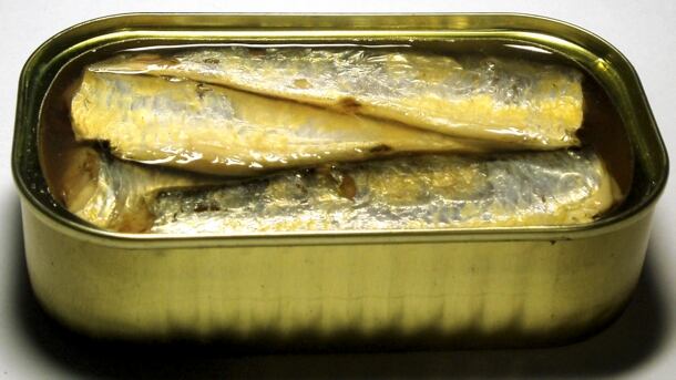 Sardine.jpg