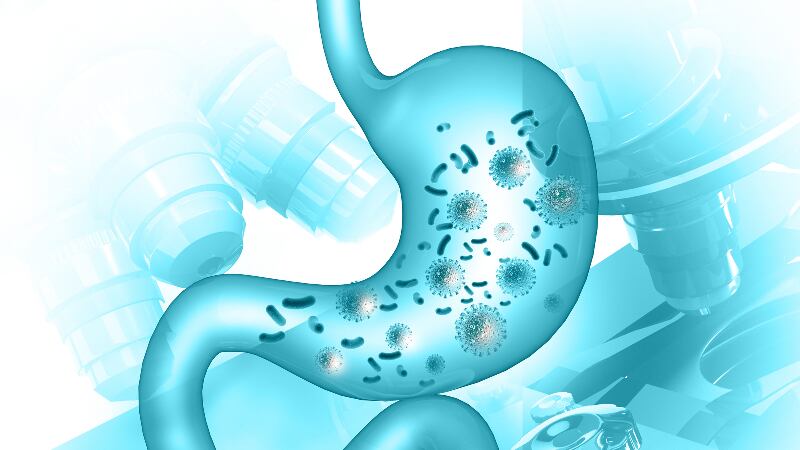 Greater consumer awareness and more players could be key for boosting postbiotics growth – Ildong Bioscience  