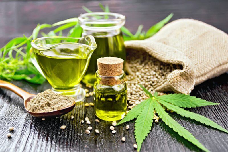 No-industry-left-untouched-India-s-Hemp-Horizons-banking-on-food-innovation-amid-vast-growth-potential.jpg