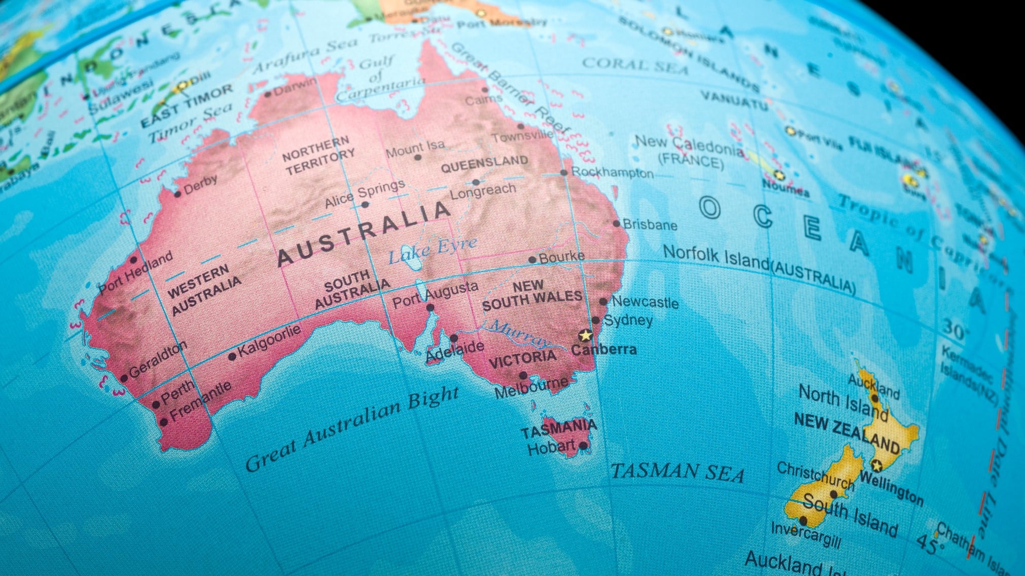 Value-added-agriculture-needed-in-Australia-and-New-Zealand-to-compete-in-alt-protein.jpg