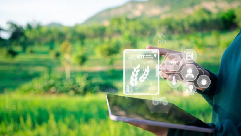 Supply chain digital