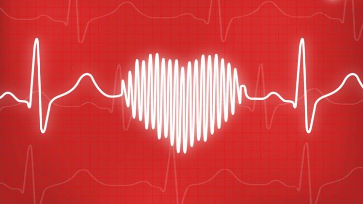 Weight management: Moderate reduction in calorie intake can slash risk of cardiovascular disease