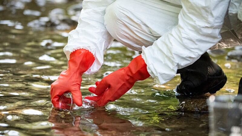 No safety, no security: Asia food system facing triple threat of microbe, chemical and physical contamination - expert insights