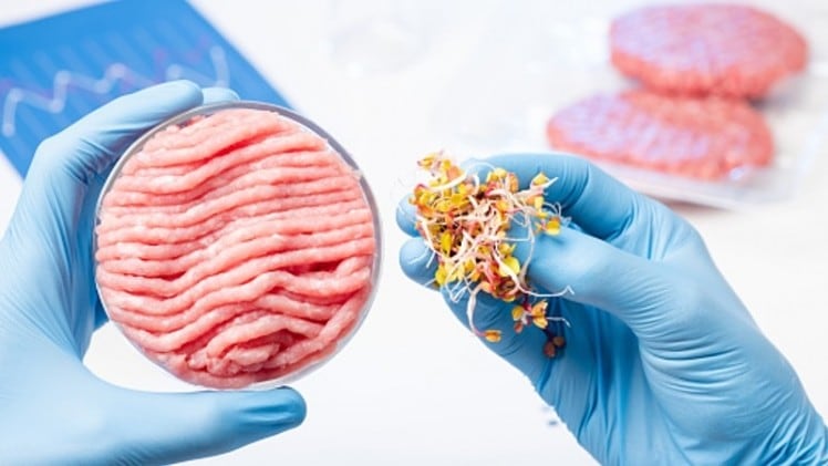 Tough act: Alternative protein sector must tackle affordability, accessibility to meet global protein demand