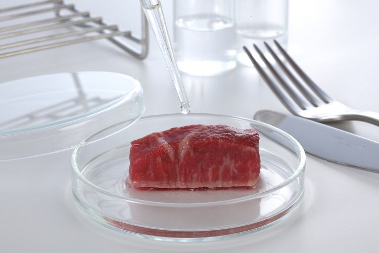 ‘The race is on’: Is Japan’s commitment to cultivated meat another sign Europe is lagging?