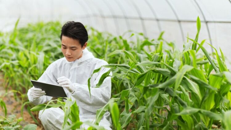 两个目标，10大行动：中共中央和国务院首次推出食品安全工作计划