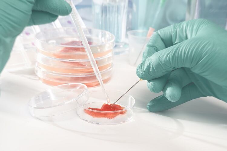 cell-based-meat-anyaivanova.jpg