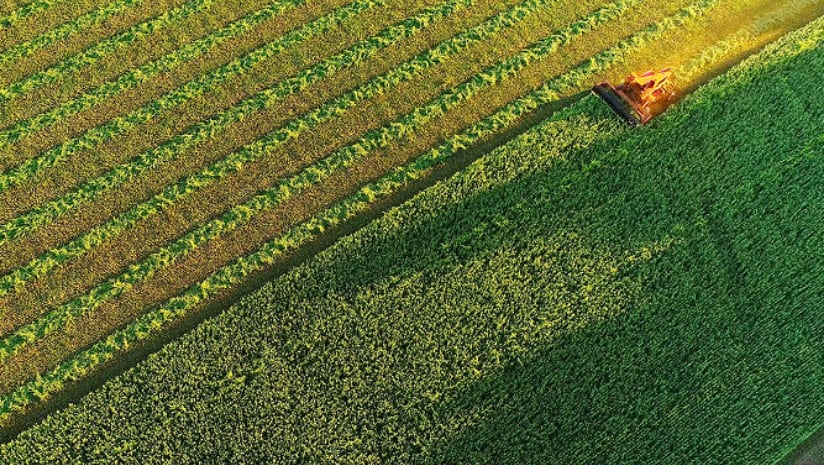 Smart Farming