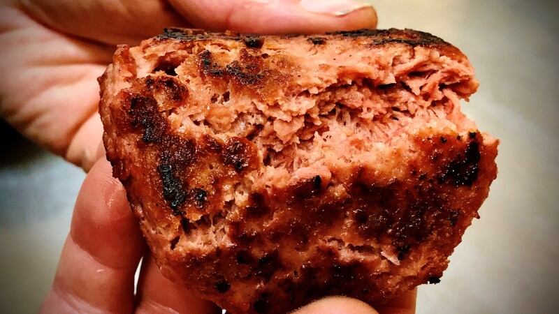 Hemp-based meat: New Zealand firm eyes 2021 launch for minimally processed, sustainable new product