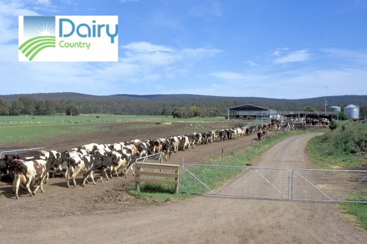 Fonterra Australia strengthens cheese business with Dairy Country acquisition