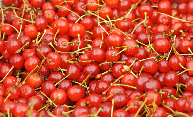 Null-study-on-tart-cherries-blurs-picture-of-polyphenols-role-in-microbiome-modulation.jpg