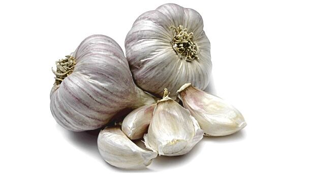 Garlic.jpg