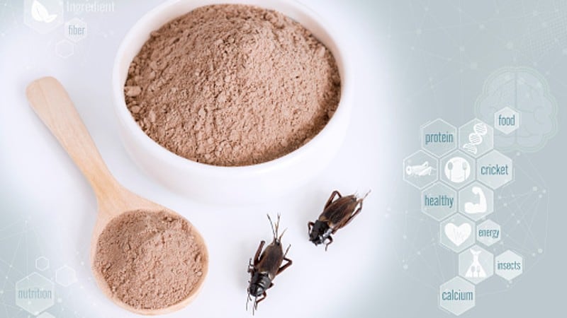 APAC-insect-protein-sector-has-much-to-learn-from-plant-based-products-in-terms-of-regulations.jpg