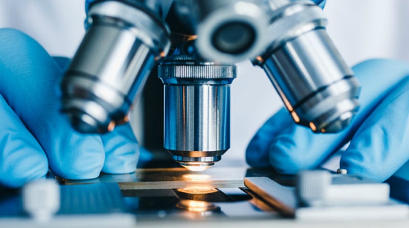 The top 10 APAC food science and research stories of 2018 under the microscope