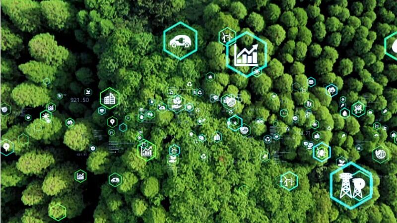 Be a ‘good ancestor’: Why tech alone won’t help Asia achieve food supply chain sustainability – APEC expert panel