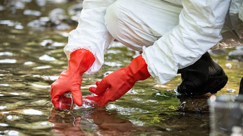No safety, no security: Asia food system facing triple threat of microbe, chemical and physical contamination - expert insights