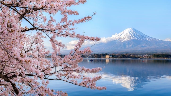 Japan-focus-Our-top-stories-featuring-Japan-s-cosmetics-industry.jpg