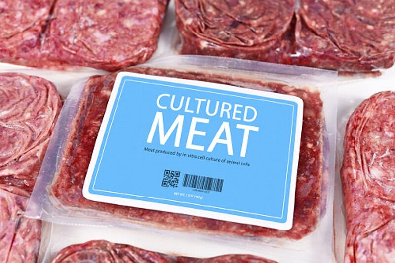 Democratising cultured meat: Japan’s Integriculture pushes co-culture tech to reduce costs