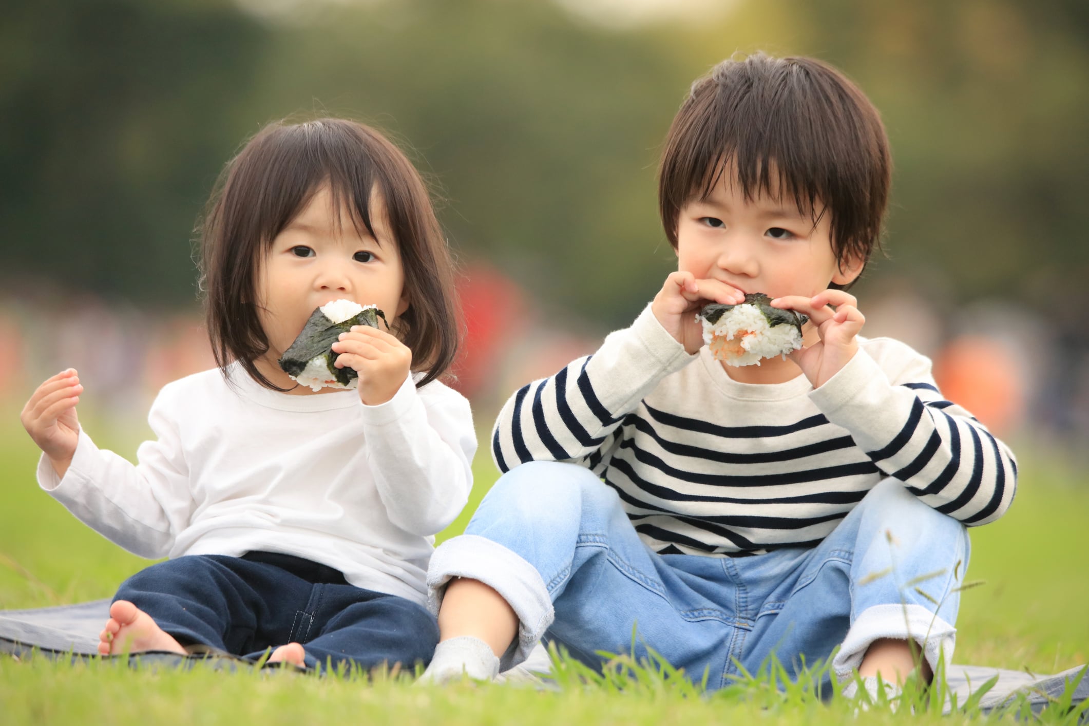 Regularly eating balanced meals is associated with lower overweight and obesity risk than focusing on individual nutrients or food groups.