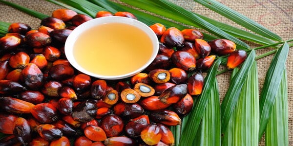 Palm-Oil-Resized.jpg