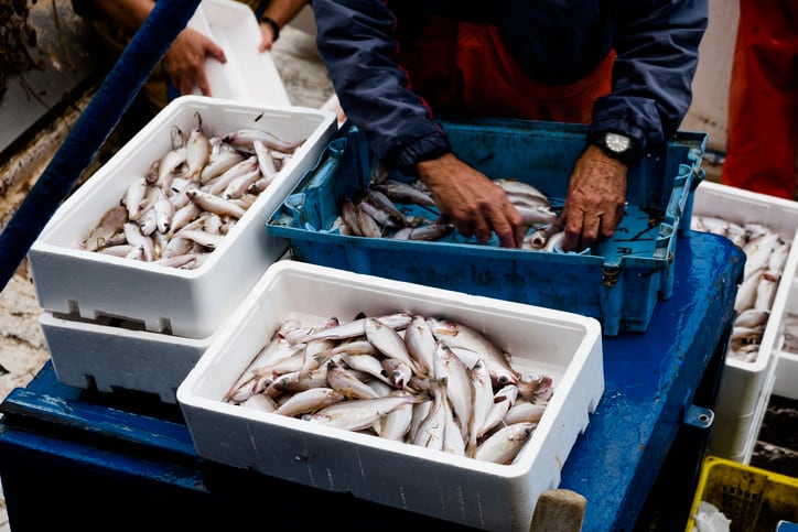 Heavy-metal-contamination-Serious-and-remarkable-concentration-of-arsenic-lead-and-cadmium-in-Turkish-fish.jpg