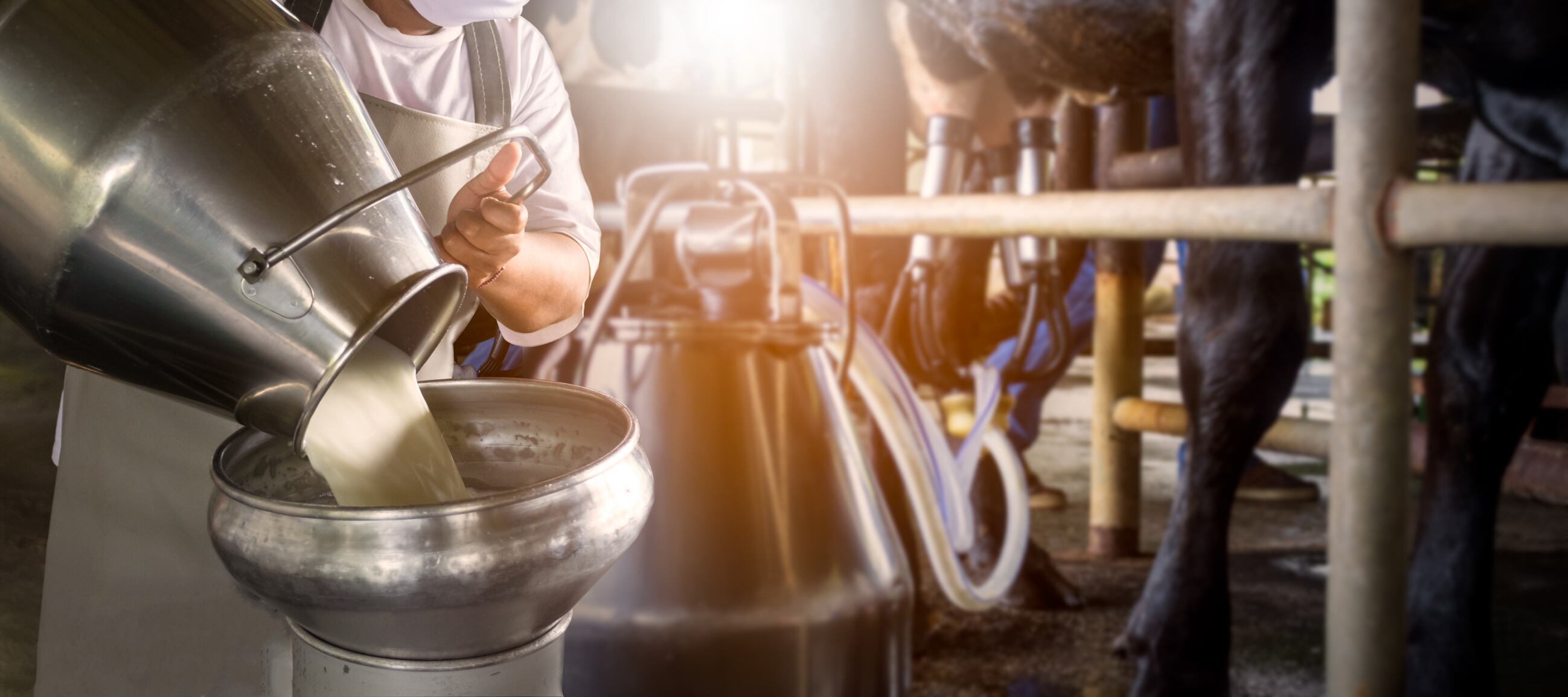 Paving-the-milky-way-China-dairy-giant-Mengniu-continues-expansion-plans-in-Uruguay.jpg