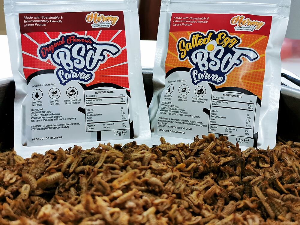 Soldier on: Malaysian start-up turning to black soldier flies as sustainable protein for Asia