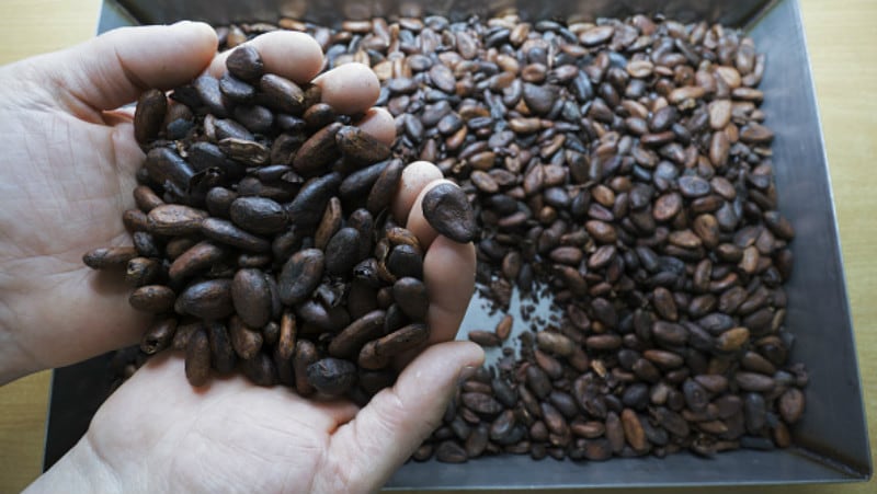 Cocoa connectivity: Cargill targets further digital traceability advances for Indonesia