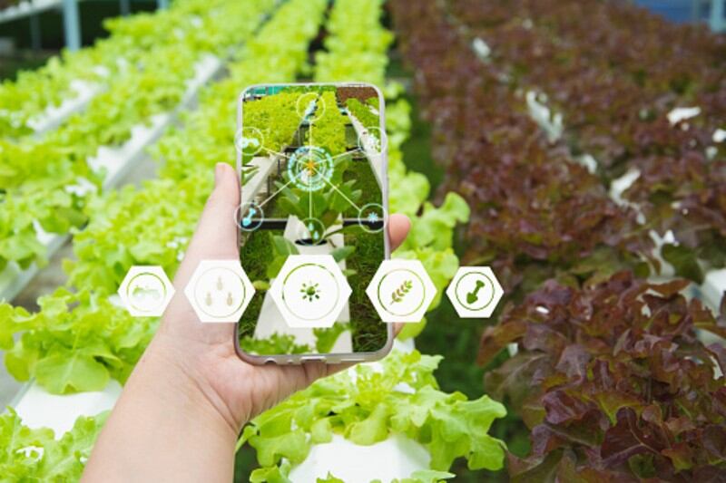 Watermark for food: Natural Trace looks to solve traditional food traceability issues with in-product tagging tech