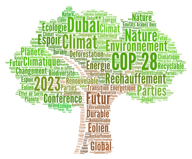 COP28’s food system focus eagerly anticipated by experts 