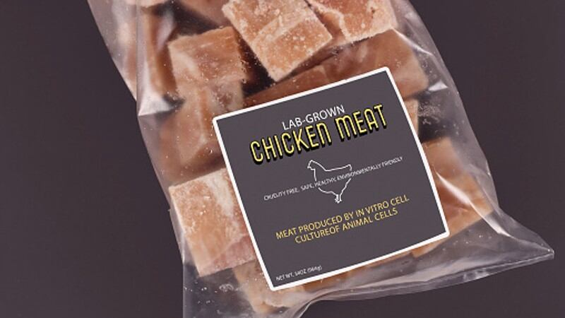 Hard cell? Expert opinions clash over GOOD Meat’s 3% cultivated chicken launch in Singapore