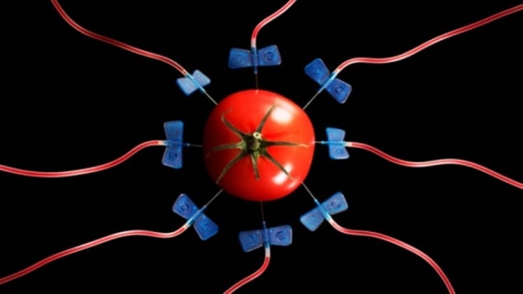 GM foods in South Korea: Government calls for ‘scientific input only’ in new public consultation for three food items
