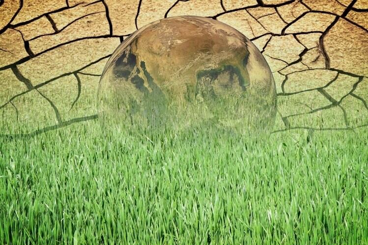 Why COP27 is a ‘critical turning point’ to connect nutrition and climate change