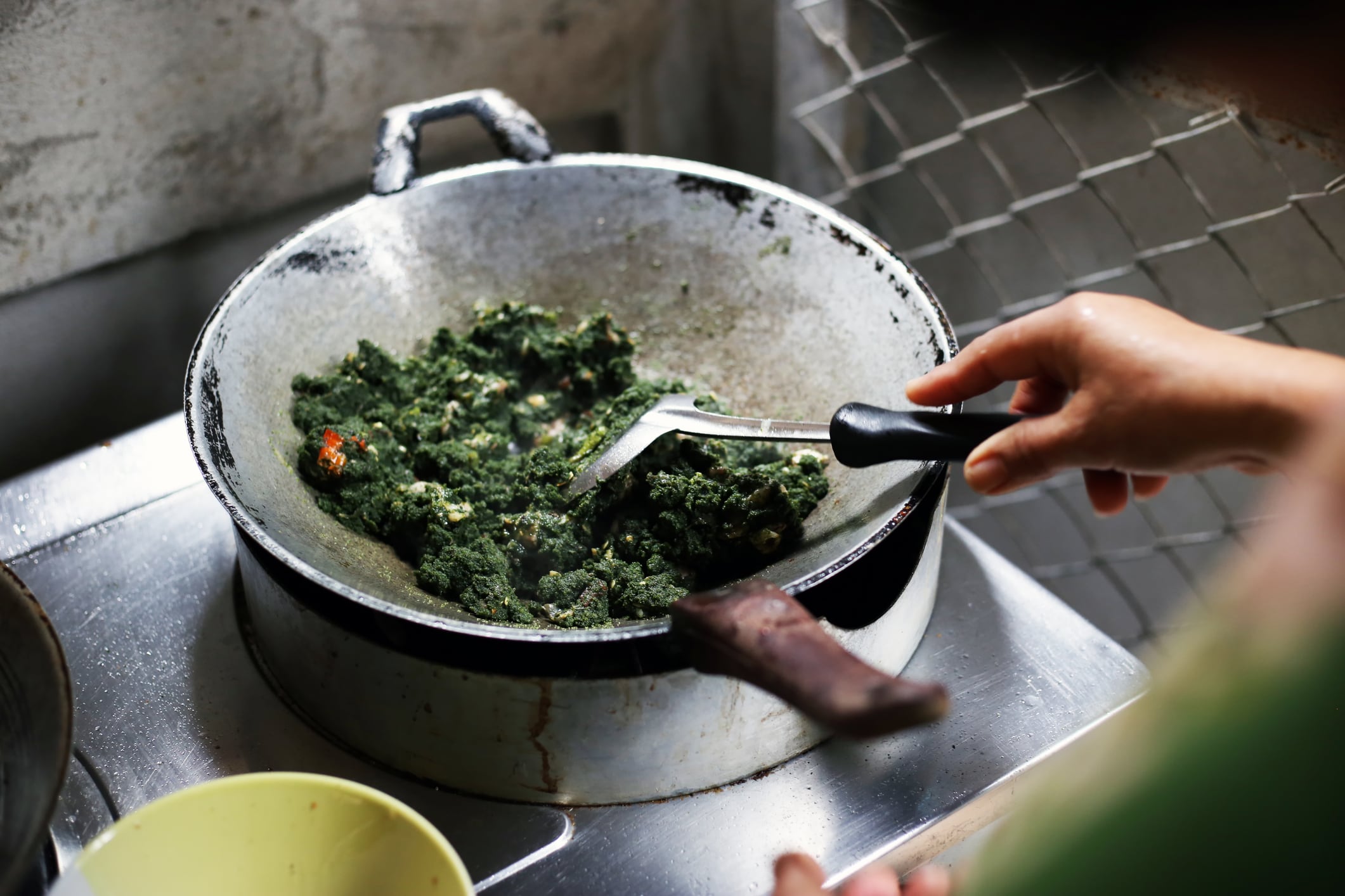 Wolffia is traditionally cooked as stir-fried vegetables.