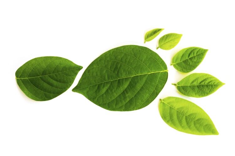 CP Foods launches green packaging for meat range
