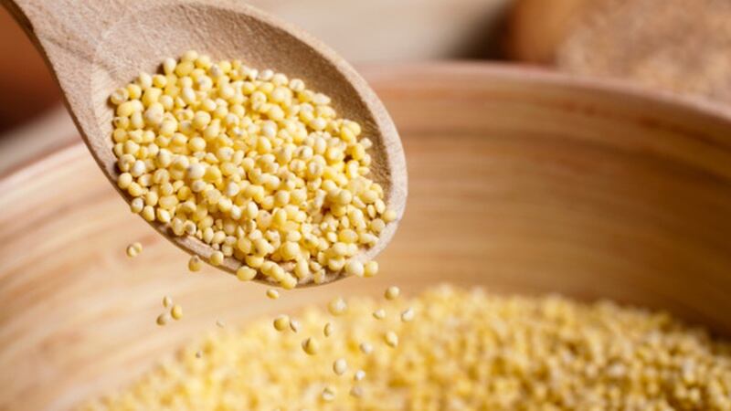 Nestle-India-puts-millets-at-the-centre-of-new-product-innovation-efforts.jpg