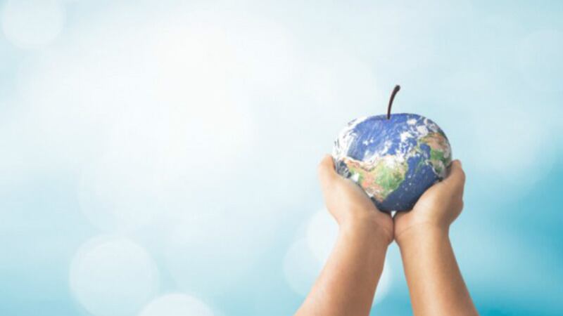 Trend Tracker: Coca-Cola Japan and trends in food industry advances, alternative meat and more feature in our round-up