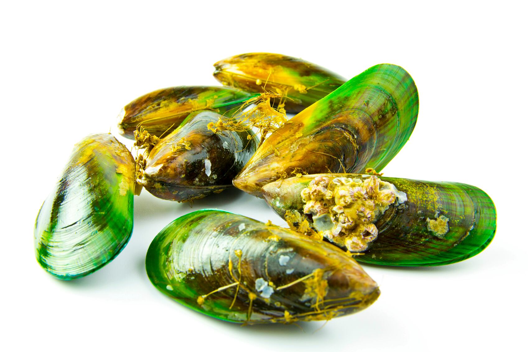 Green-lipped-mussels-C-iStock-DPFishCo.jpg