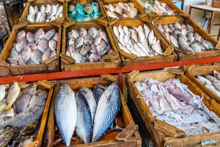 Environmental decimation: Asia’s aquaculture industry needs to prioritise urbanisation and efficiency to avoid catastrophe