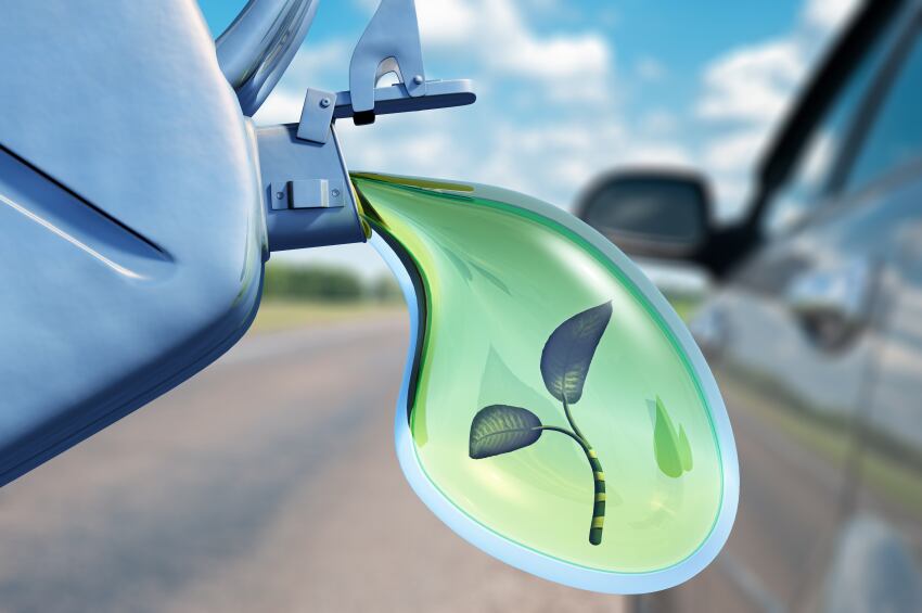 biofuel-plant-oil-palm-iStock.com-galdzer.jpg